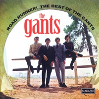 The Gants Ablum Cover