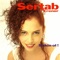 Aldırma Deli Gönlüm - Sertab Erener lyrics