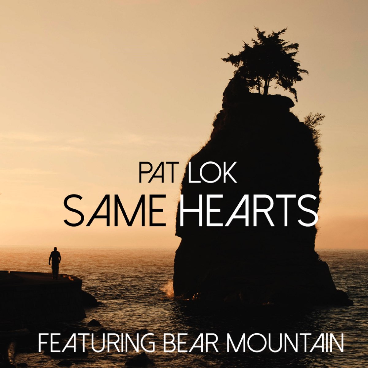 Listen to pat. Pat Lok. Bear Mountain. Lok музыка. Stayc same same обложка песни.