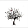 Universal Message - Single