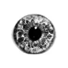 Eyes