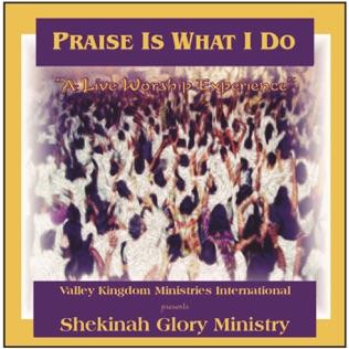 Shekinah Glory Fall On Me