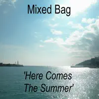 Here Comes the Summer — Mixed Bag