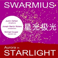 星光极光 (Aurora in Starlight) - Single - Swarmius