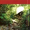 Canot-camping, expédition 4: Popote-vaisselle 2 - Jean Derome lyrics
