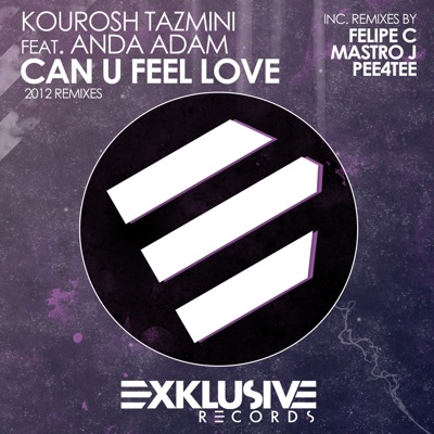 Can U Feel Love (2012 Remixes) - Single