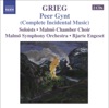 Grieg: Orchestral Music, Vol. 5 artwork
