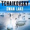 Tchaikovsky Swan Lake