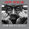 Raw Delta Blues - Son House