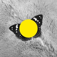 Taiyo (Remixes) - Single - Marc Romboy & Ken Ishii