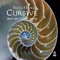 Birds of Barclay Street - Philip Edward Fisher lyrics