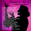 Flamenco, Vol. 5