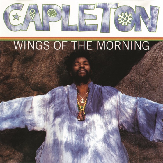 Cover artwork for Wings of the Morning (feat. Method Man)