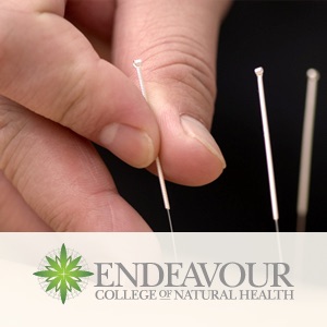 Acupuncture cover