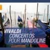 Vivaldi: Concertos four Mandolin artwork