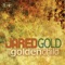 14 Carat Gold - Jared Gold lyrics