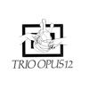 Trio Opus 12