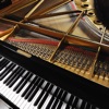 Monsalve - Für Elise (Bagatelle No. 25 in a Minor)
