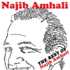The Best Of - Najib Amhali
