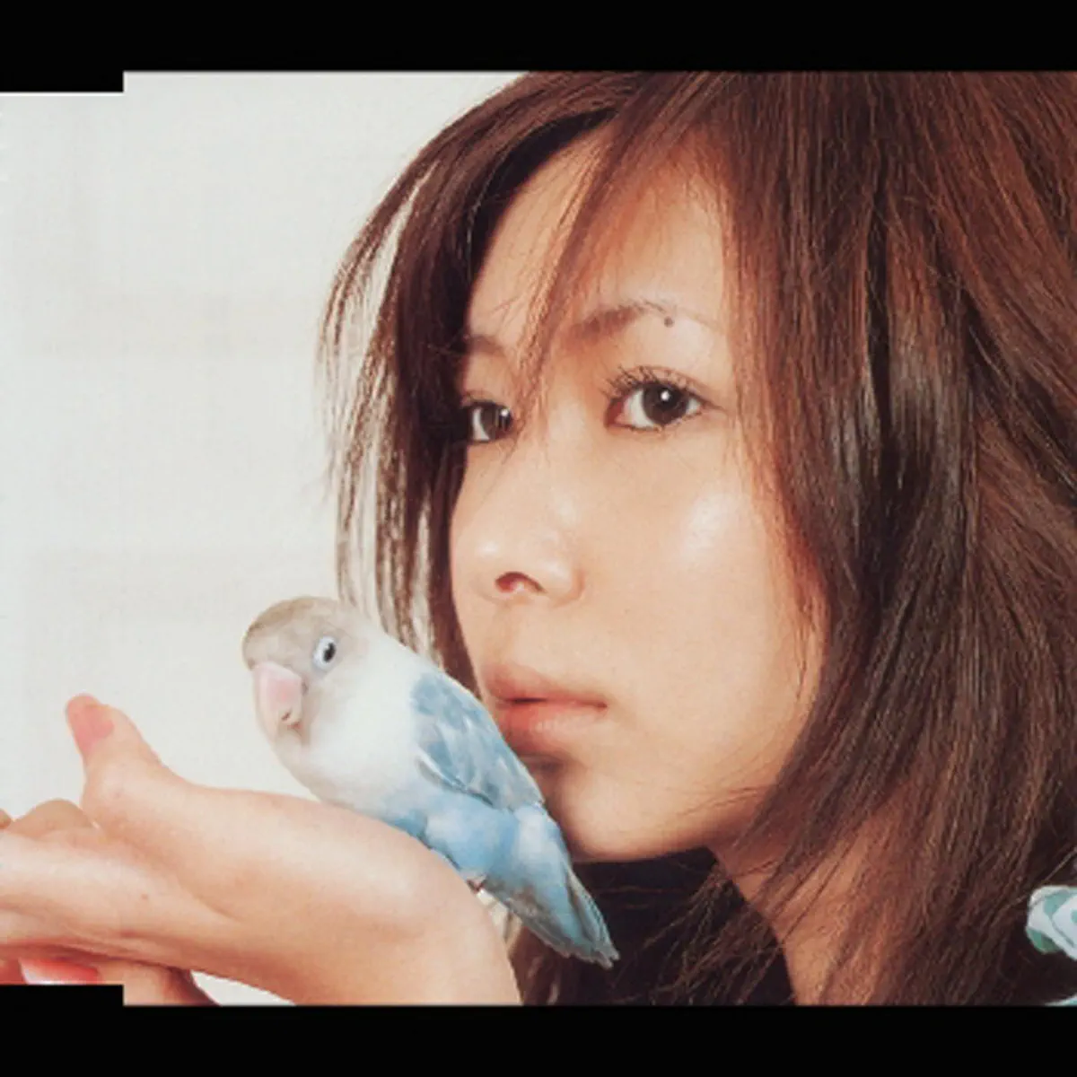 川島茉樹代 - 桜咲くまで Sakura Sakumade - EP (2004) [iTunes Plus AAC M4A]-新房子