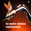 La mejor musica instrumental Vol.2 - Various Artists