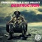 Destruction - Franko Ovalles & Ngd Project lyrics