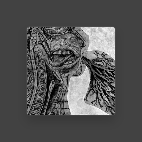 noisepoetnobody's avatar