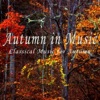 Donetsk Symphony Orchestra & Silvano Frontalini - The Nutcracker, Suite, Op. 71a: I. Miniature Overture. Allegro giusto