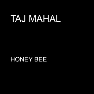 Honey Bee - Single