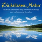 Gewitter mit Regen