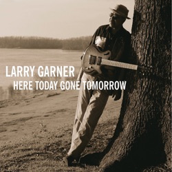 Larry Garner - For You Mr. King