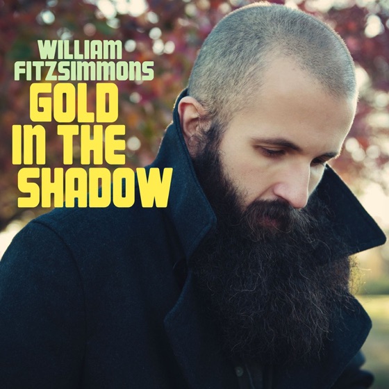 Cover artwork for Gold in Shadow