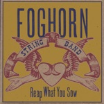 The Foghorn Stringband - Black Mountaine Rag