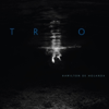 Trio - Hamilton de Holanda