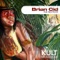 Rio (Original Extended Mix) [feat. Don Blanquito] - Brian Cid lyrics