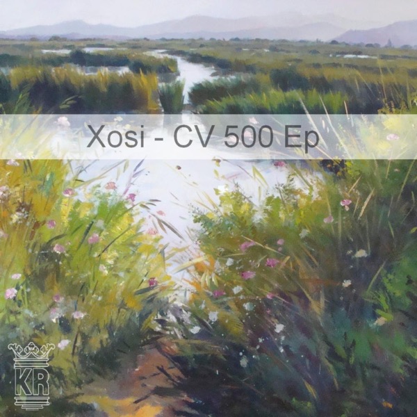 CV 500 - Single