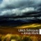 Ulrich Schnauss & Jonas Munk ジャケット写真