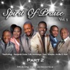 Spirit of Praise, Vol. 3, Pt. 2