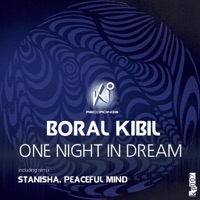 One Night In Dream - Single - Boral Kibil