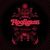Hooligans - Felember