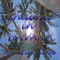 Arawak People - Javier Foca lyrics