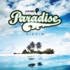 Paradise Riddim (Trinidad and Tobago Carnival Soca 2013)