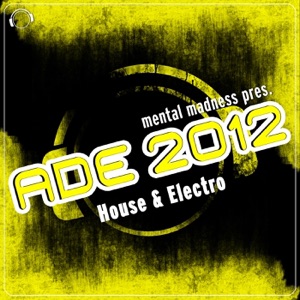 Through the Fire (Radio Mix)