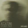 Stream & download Steady Pace