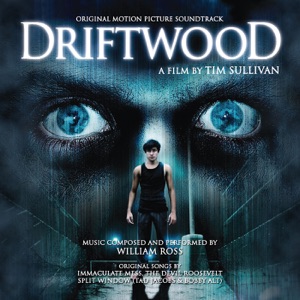Driftwood (Original Motion Picture Soundtrack)