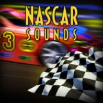 Stock Car - The Green Flag Waves the Race Is On: Nascar Countdown