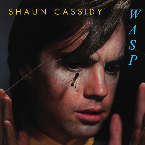 Cover artwork for Wasp