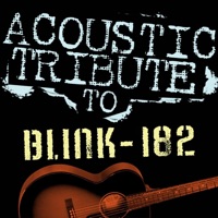 Acoustic Tribute to Blink-182 - Guitar Tribute Players