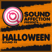 A Haunted Halloween: Spooky, Scary, Ghost & Zombie Sound FX - Sound Affection