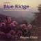 A Heart In the Clouds - Wayne Gratz lyrics